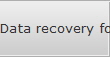 Data recovery for Raid Server Array data