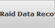 Raid Data Recovery Raid Server Array raid array